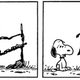 Illustration for article titled The Time Snoopy's Iconic Doghouse Burned Down